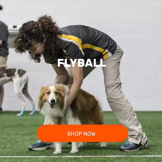 VULCAN-SPORTS-KIT-PACKAGES-FLYBALL
